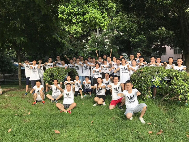 OUR TEAM